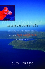 Miraculous Air by C. M. Mayo